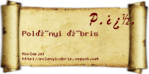 Polányi Ábris névjegykártya